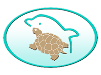 Die Kombination von Schlodkröte und Delphin als Symbol für Kommunikation, Weitergabe von Wissen