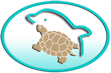 Schildkröte und Delphin im Logo von Sylvia Klein stehen für die Vielfalt der Kommunikation